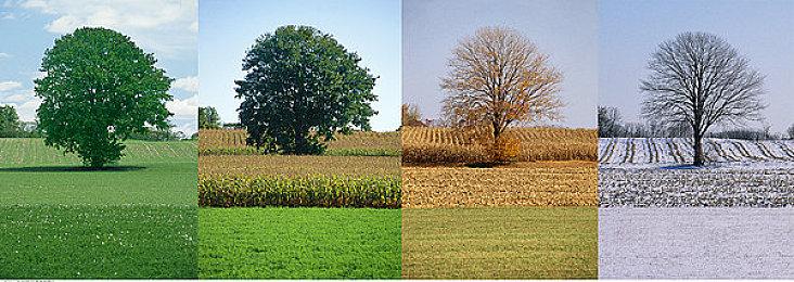 《天国：拯救2》主机画质规格公开 PS5 Pro目标为4K＆60FPS